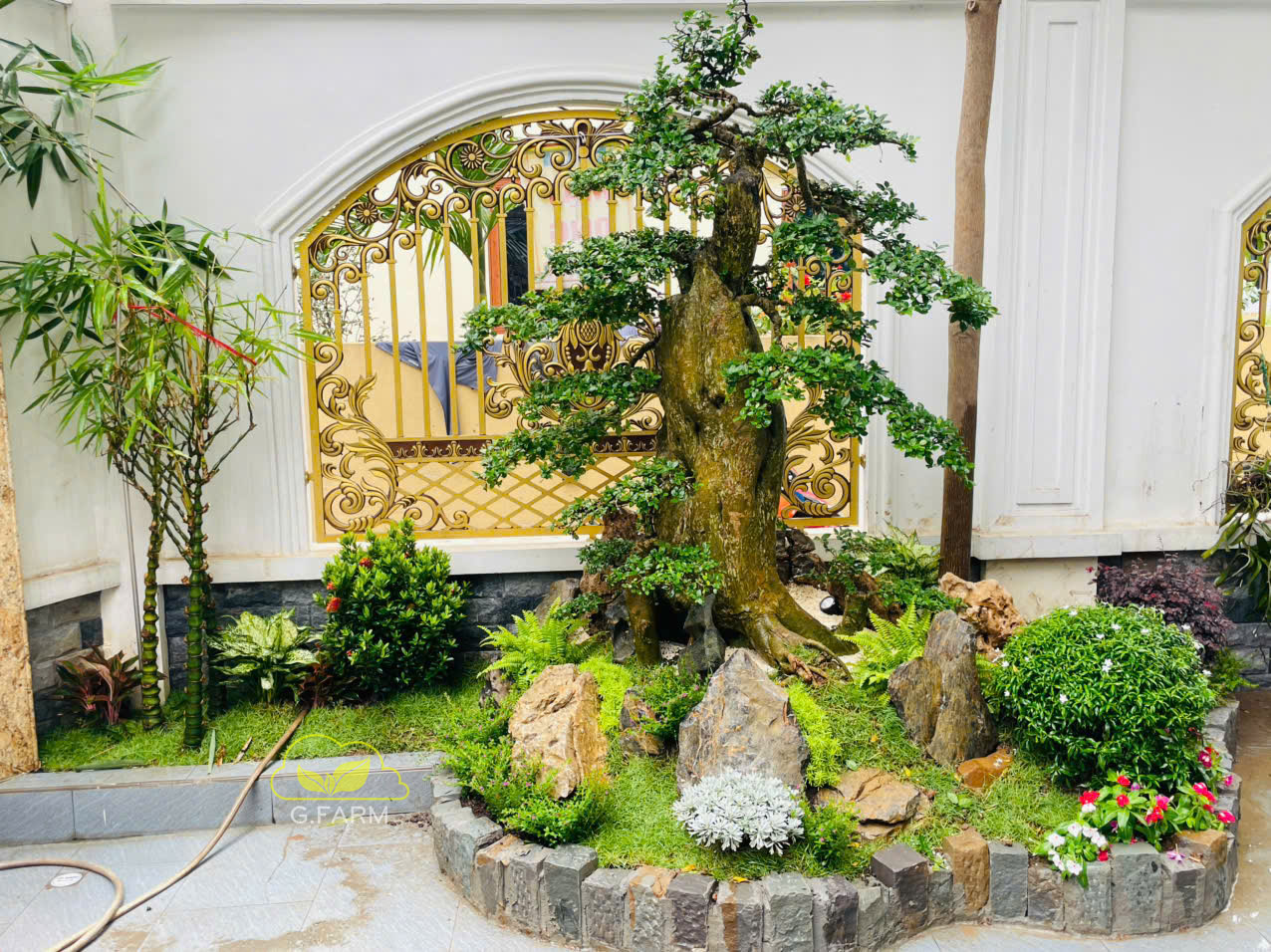 Tiểu cảnh sân vườn đẹp tại Hà Đông - Hà Nội 